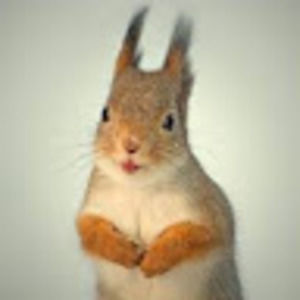 Meet your Posher, Irina